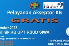 Pelayanan Akseptor KB